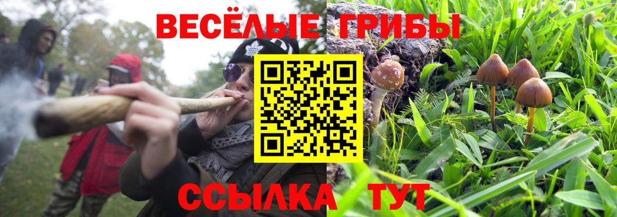 Галлюциногенные грибы Magic Shrooms  Вход с VPN  Галлюциногенные грибы GOLDEN TEACHER  Аргун 